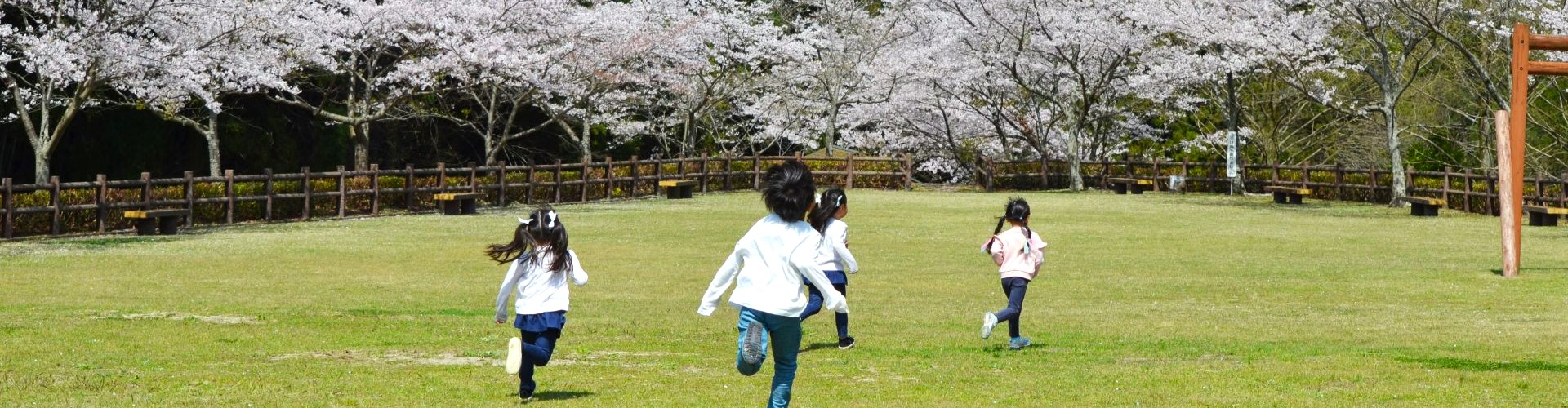 年度ごとの活用実績