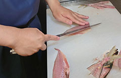 沼津の名産「アジの干物」を作ろう講座