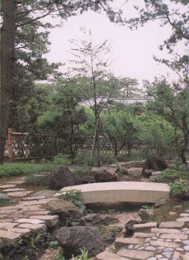 石橋のある広場から記念植樹のアズサの木とハマナス