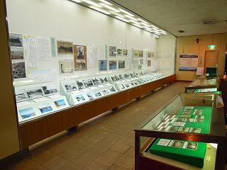 企画展の様子