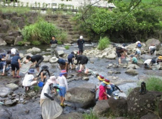 川にすむ生き物を採集している様子