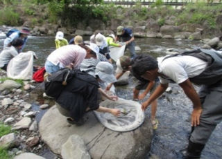 川にすむ生き物を網ですくっている様子