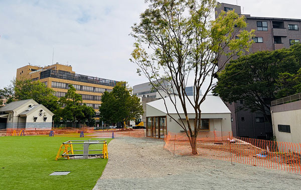 園路、人工芝広場