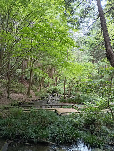 愛鷹運動公園 せせらぎの径
