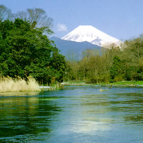 富士山と柿田川