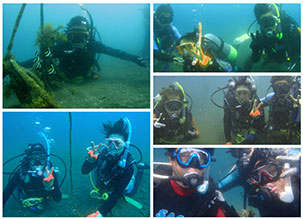 ダイビングの様子