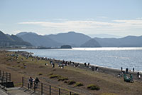 沼津市海岸清掃（牛臥・島郷海岸）