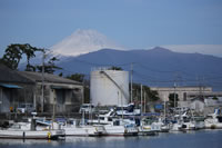 沼津港内港と富士山