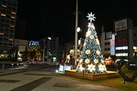 沼津駅北口広場イルミネーション
