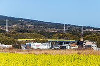 浮島なのはならんど1（ドクターイエロー）