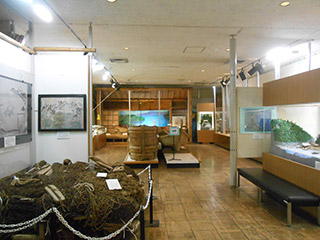 沼津市歴史民俗資料館　1階　展示室