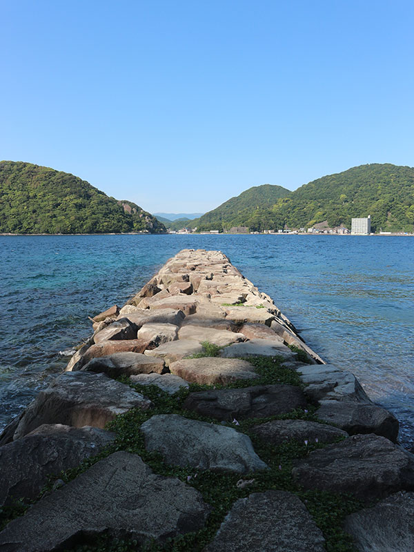 海