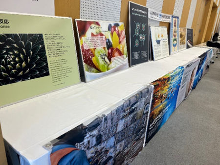 「UNEP（国連環境計画）地球環境情報展」のパネル