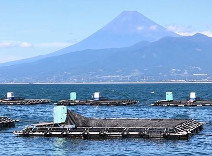 養殖場の様子