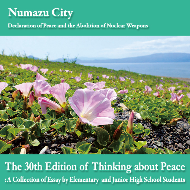 The 30th Edition of Thinking about Peace