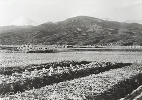 昭和28年ごろの原から愛鷹を見た写真。詳細は以下